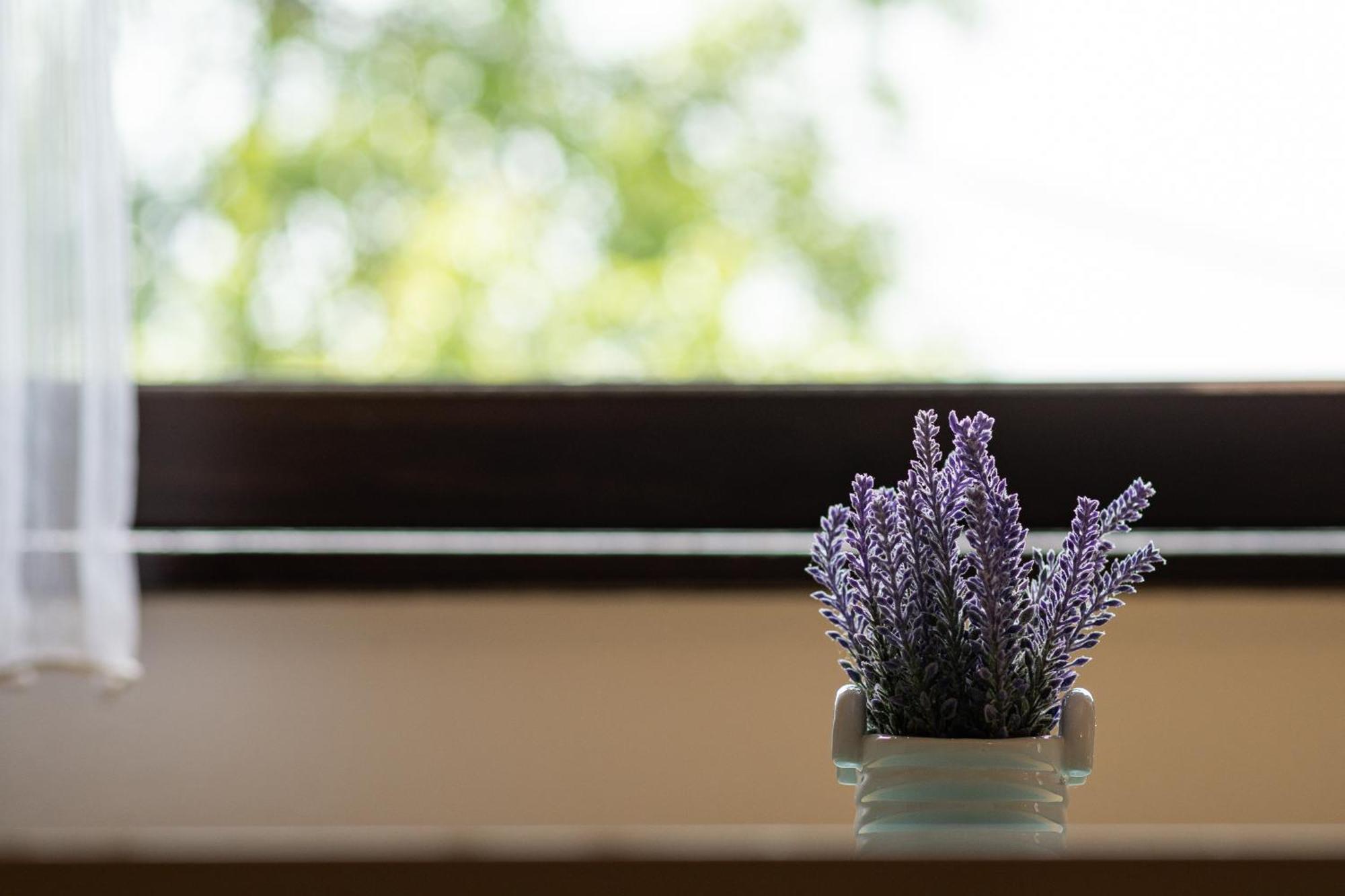 Apartments Patar Grabovac  Room photo